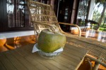 Sip tender fresh coconut from our coconut palms